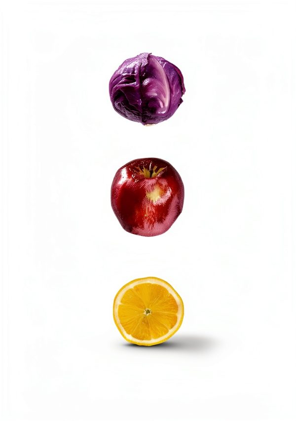 Eldercare Cancer Support Book by Milkweed Editions-0